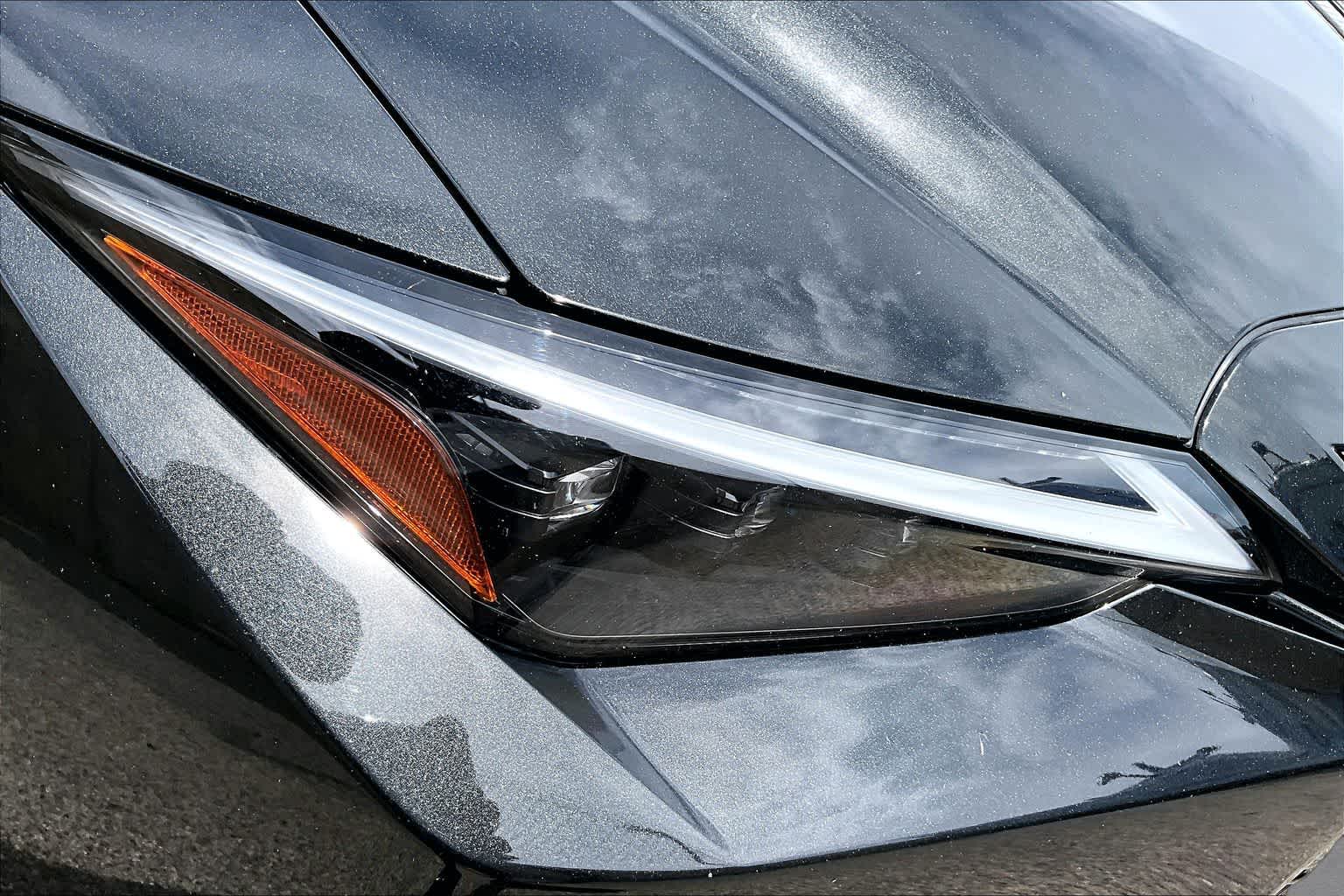 2023 Lexus IS 350