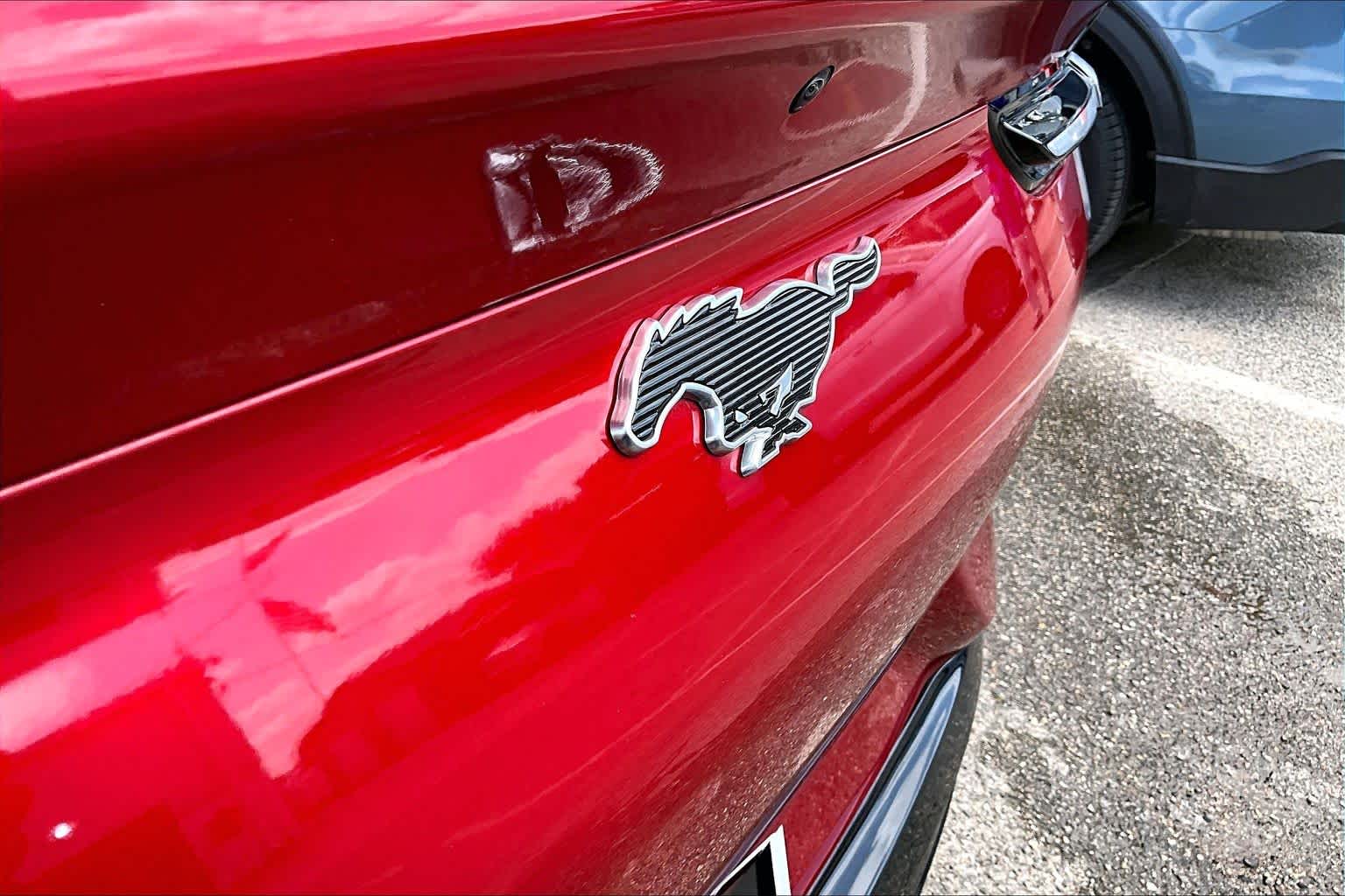 2021 Ford Mustang Mach-E