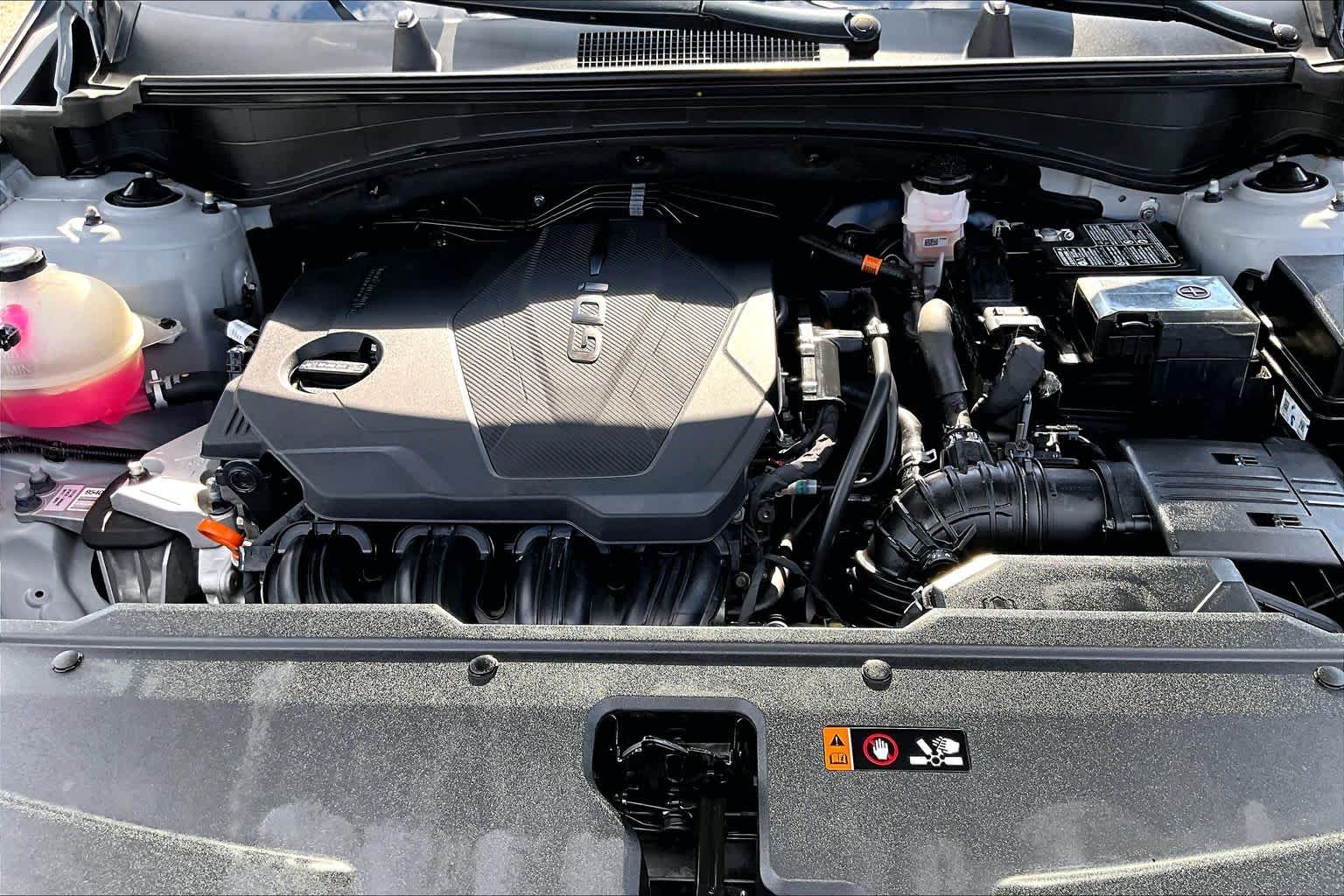 2024 Kia Sportage