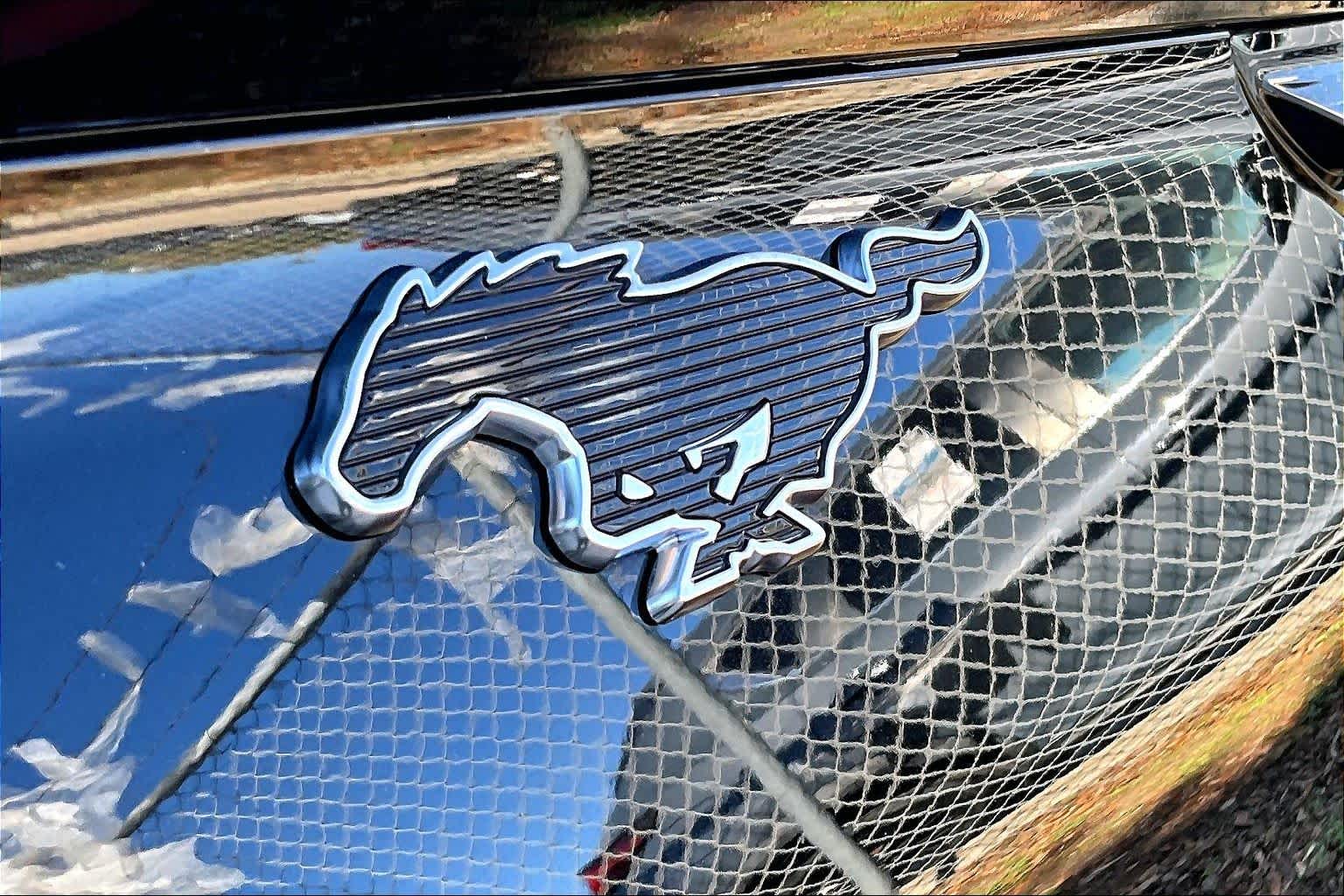 2025 Ford Mustang Mach-E